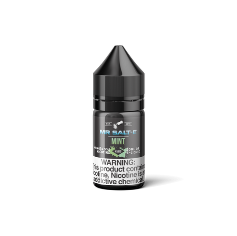Mint Mr Salt E E Liquid 30ml - All Puffs